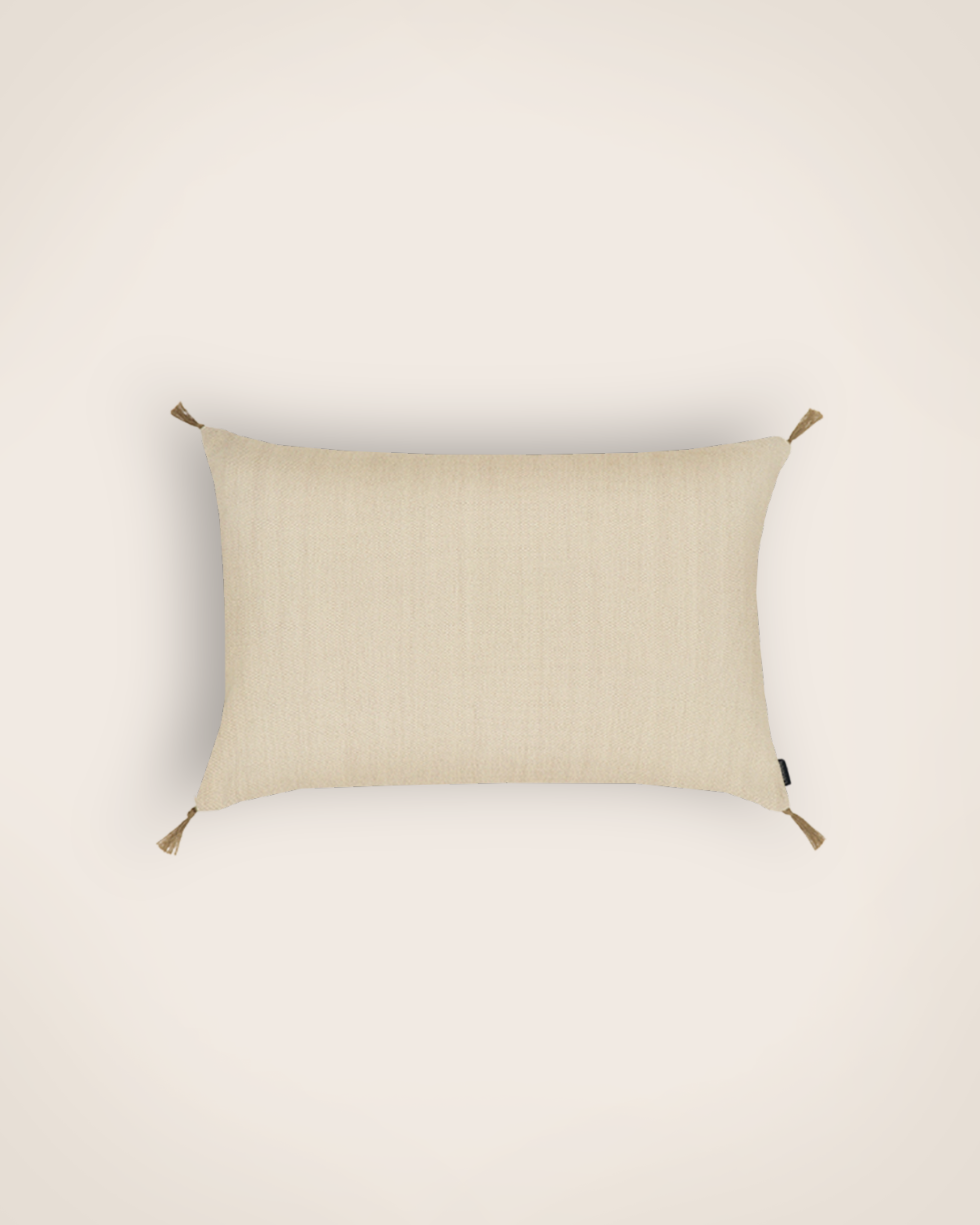 Coussin d'extérieur Anatole