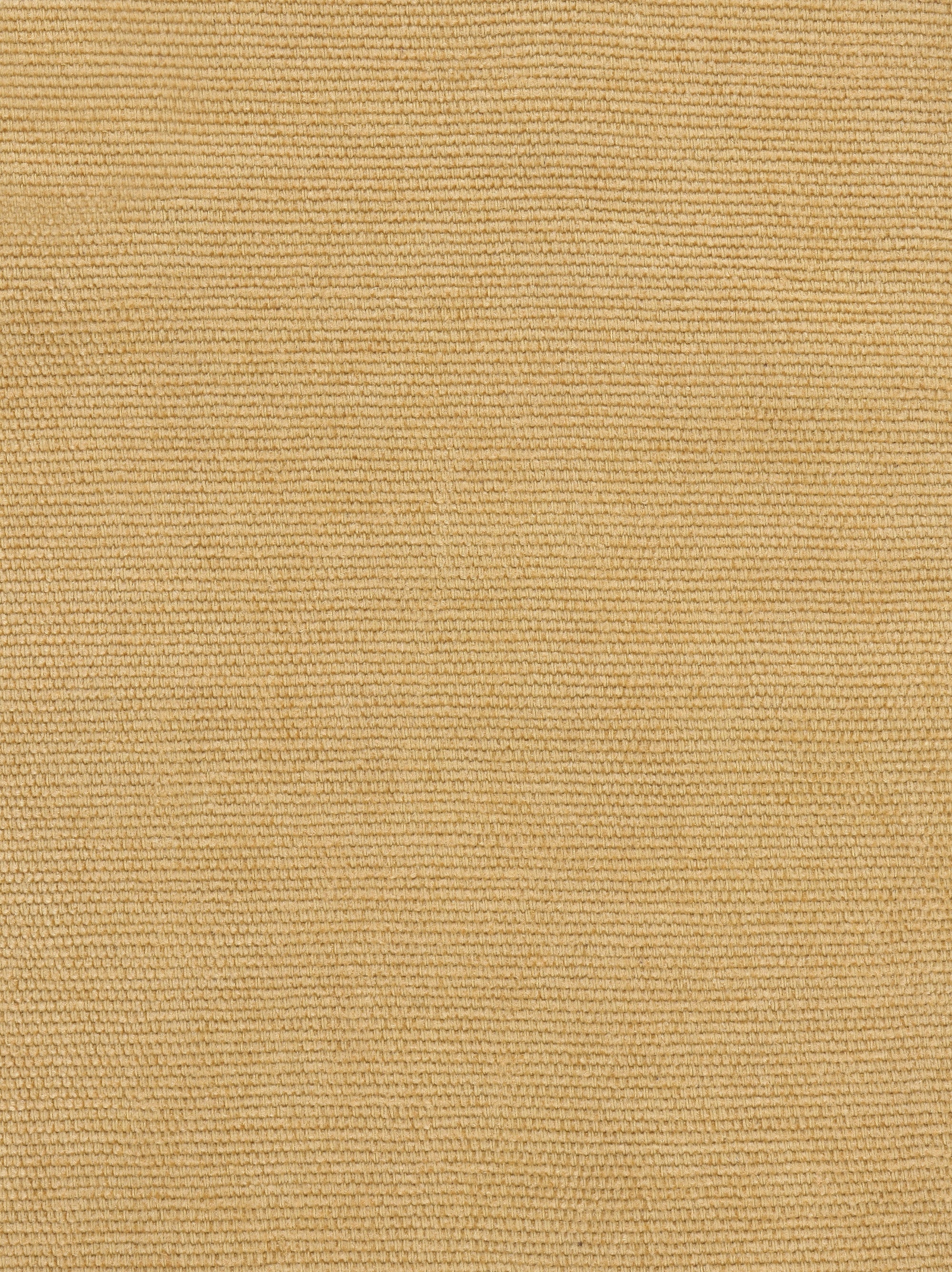 Tissu Samba
